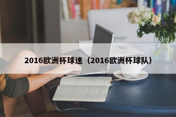 2016欧洲杯球迷（2016欧洲杯球队）