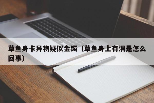 草鱼身卡异物疑似金镯（草鱼身上有洞是怎么回事）