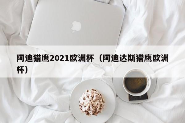 阿迪猎鹰2021欧洲杯（阿迪达斯猎鹰欧洲杯）