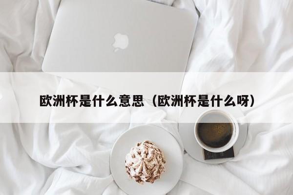 欧洲杯是什么意思（欧洲杯是什么呀）