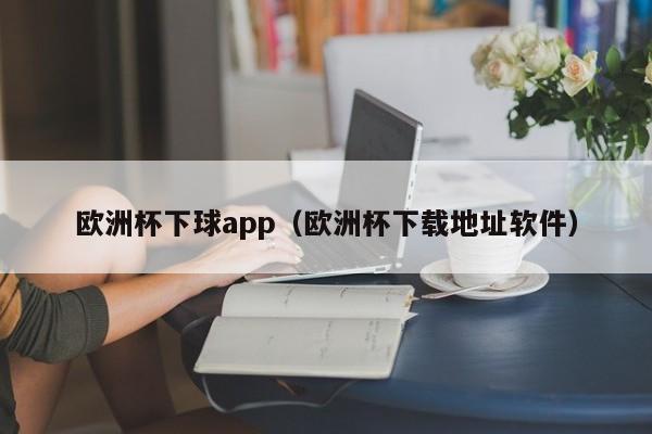 欧洲杯下球app（欧洲杯下载地址软件）