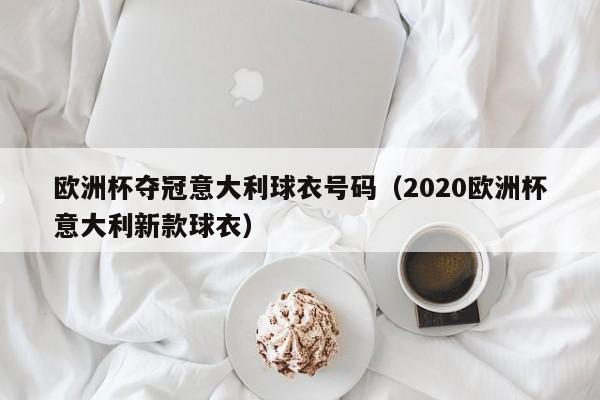 欧洲杯夺冠意大利球衣号码（2020欧洲杯意大利新款球衣）