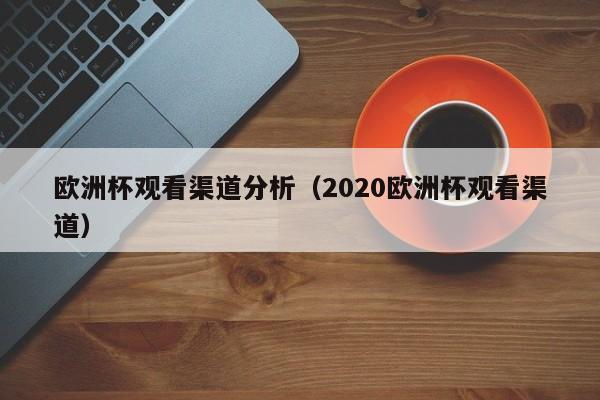 欧洲杯观看渠道分析（2020欧洲杯观看渠道）