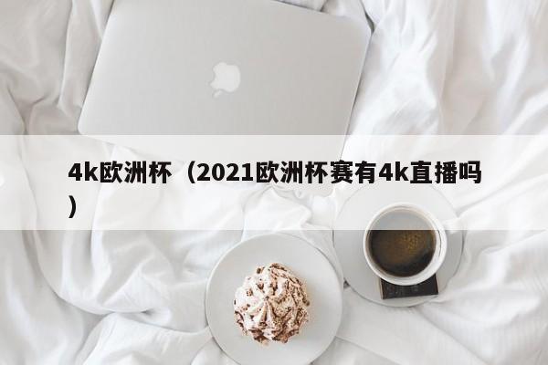 4k欧洲杯（2021欧洲杯赛有4k直播吗）