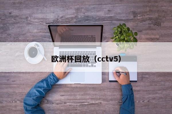 欧洲杯回放（cctv5）