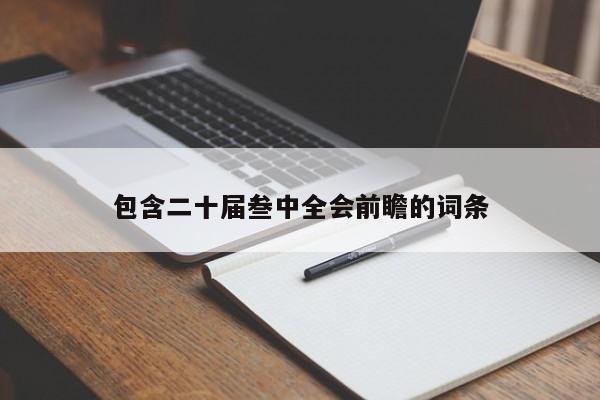 包含二十届叁中全会前瞻的词条