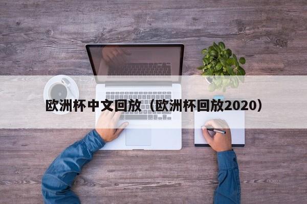 欧洲杯中文回放（欧洲杯回放2020）