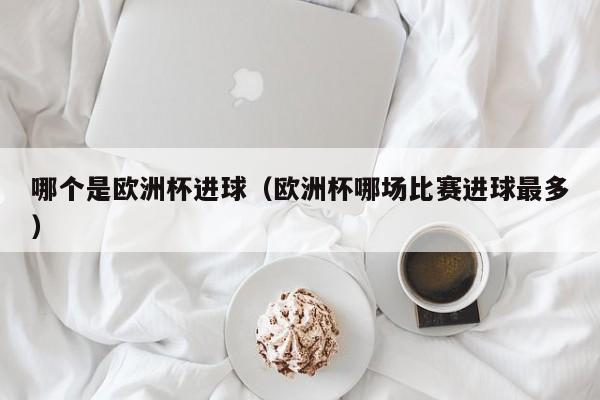 哪个是欧洲杯进球（欧洲杯哪场比赛进球最多）