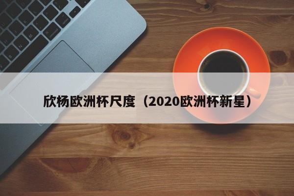 欣杨欧洲杯尺度（2020欧洲杯新星）