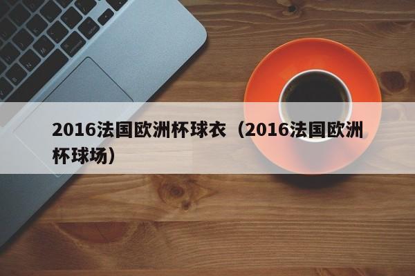 2016法国欧洲杯球衣（2016法国欧洲杯球场）