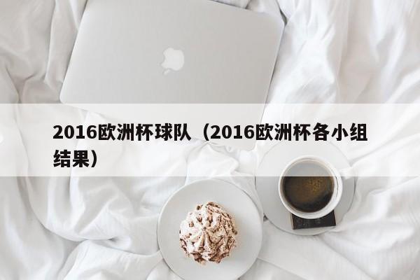 2016欧洲杯球队（2016欧洲杯各小组结果）