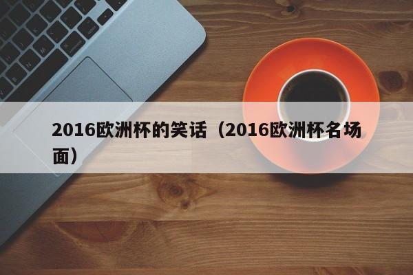 2016欧洲杯的笑话（2016欧洲杯名场面）