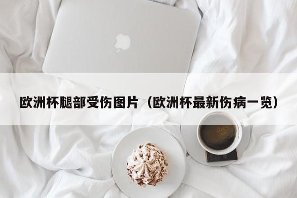 欧洲杯腿部受伤图片（欧洲杯最新伤病一览）