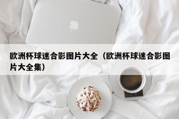 欧洲杯球迷合影图片大全（欧洲杯球迷合影图片大全集）