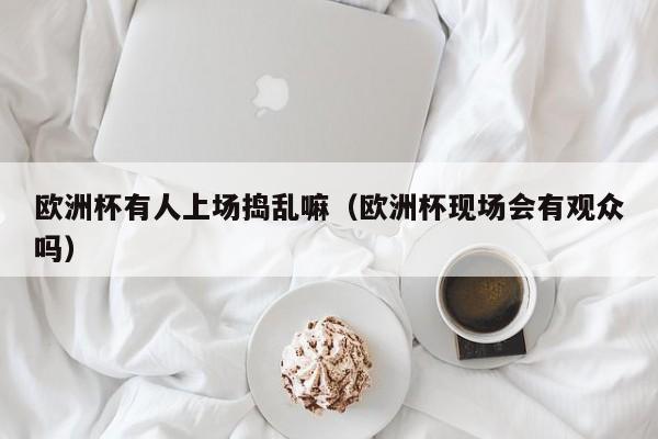 欧洲杯有人上场捣乱嘛（欧洲杯现场会有观众吗）