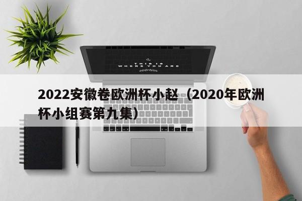 2022安徽卷欧洲杯小赵（2020年欧洲杯小组赛第九集）