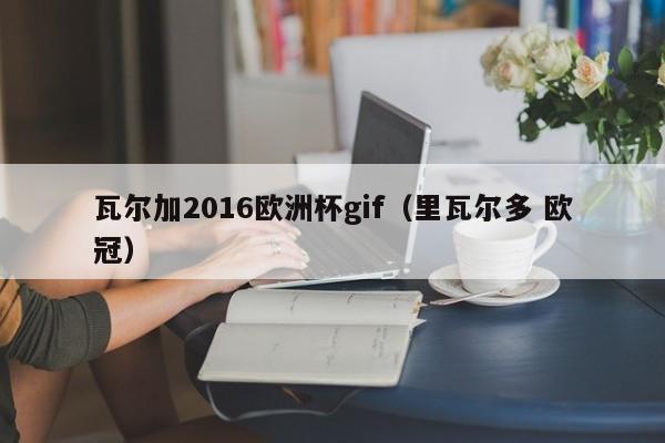 瓦尔加2016欧洲杯gif（里瓦尔多 欧冠）